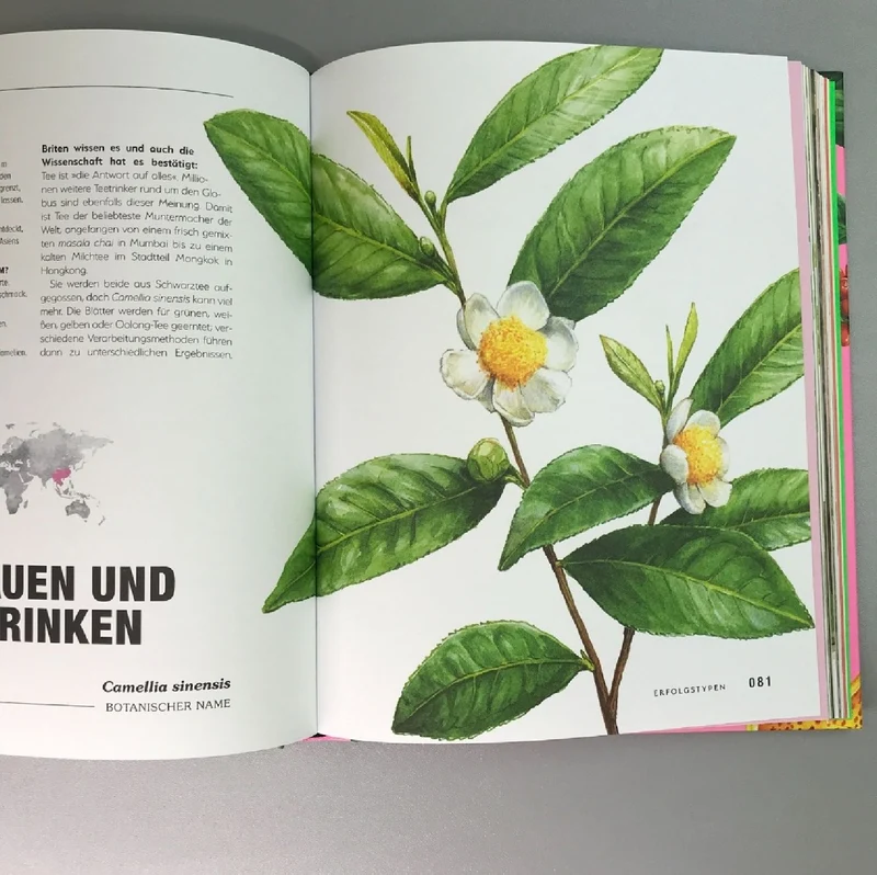 Kuriose Pflanzen (Von hot lips über Wasserfalle bis Spritz)