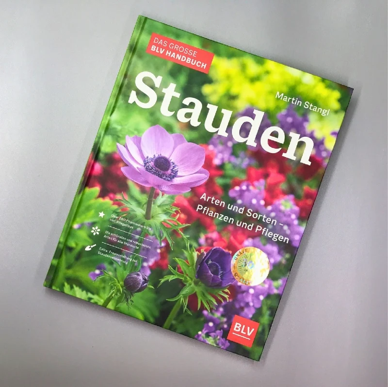 Das große Handbuch - Stauden (Martin Stangl)