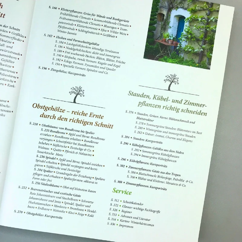 Pflanzenschnitt (DAS GROSSE GU PRAXISHANDBUCH)