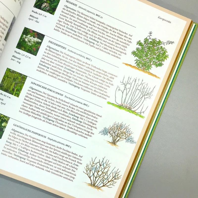Pflanzenschnitt (DAS GROSSE GU PRAXISHANDBUCH)