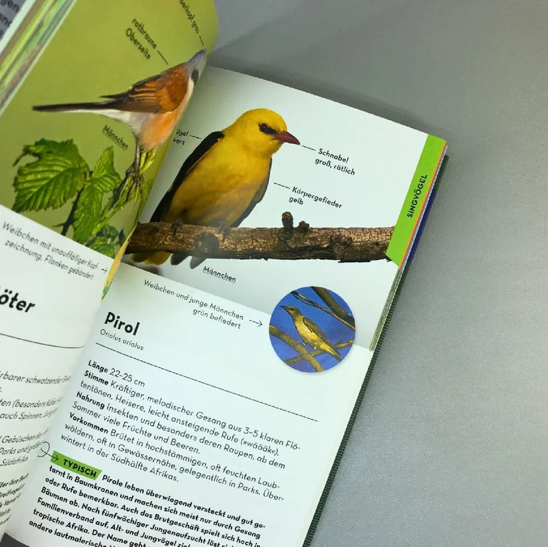 Basic Gartenvögel (Volker Dierschke)