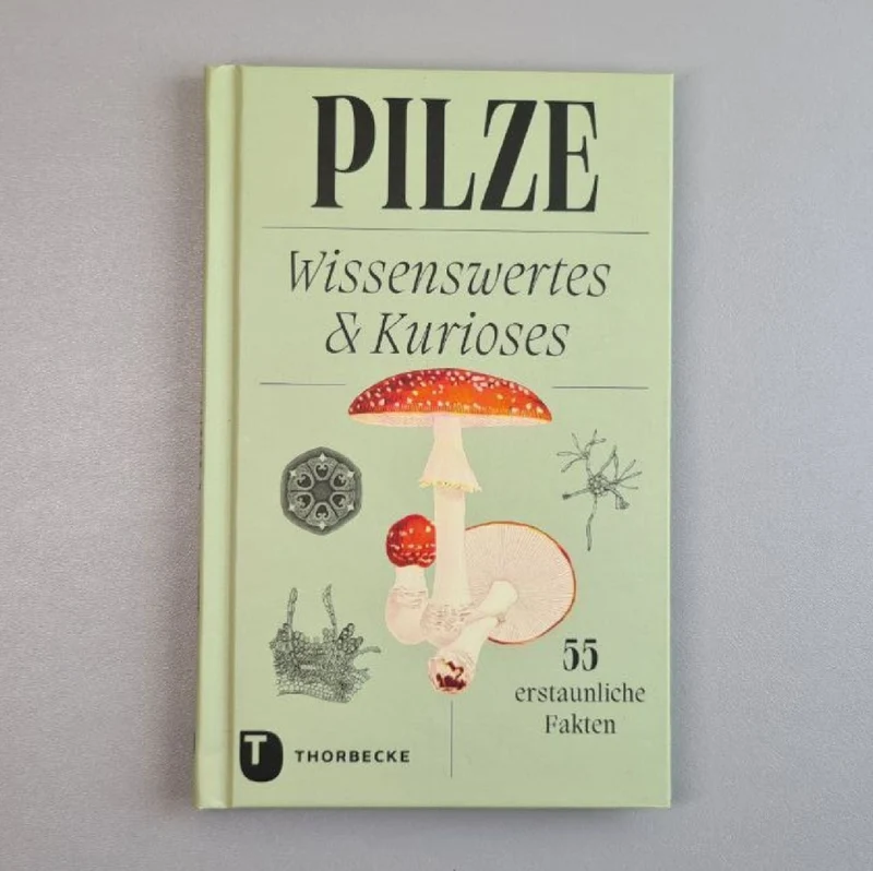 Pilze (Wissenswertes und Kurioses)