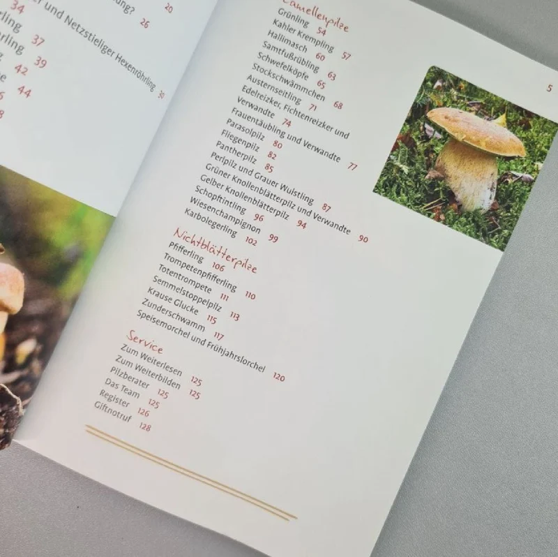 Pilze FAQ (Björn Wergen)