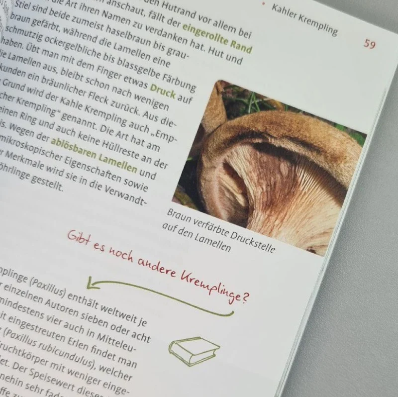 Pilze FAQ (Björn Wergen)