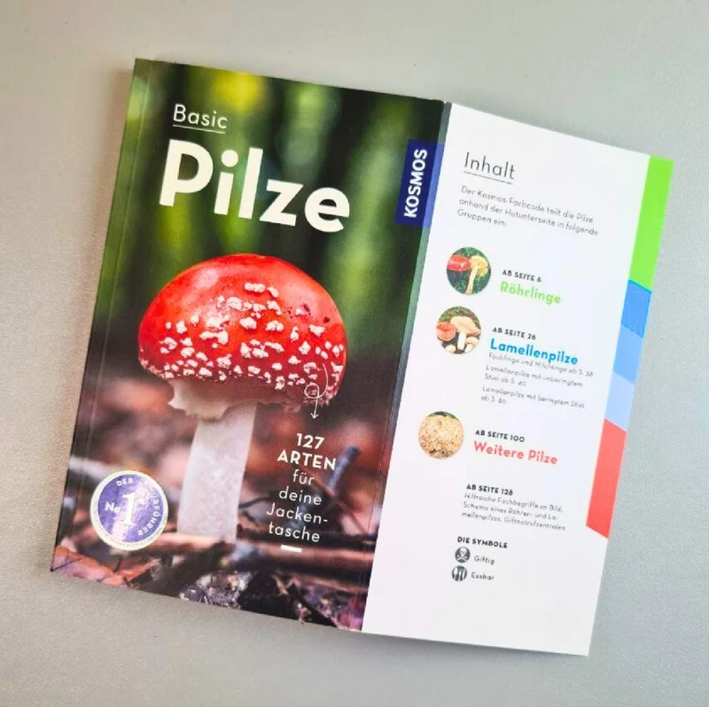 Basic Pilze (Markus Flück)