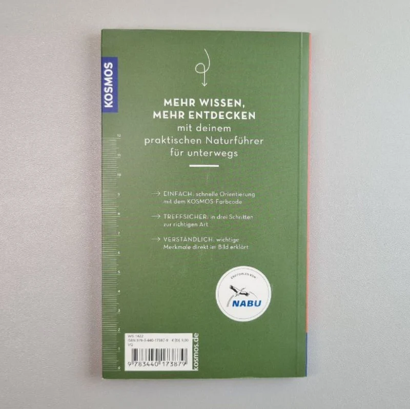Basic Pilze (Markus Flück)