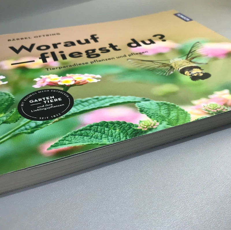 Worauf fliegst du? (Bärbel Oftring)
