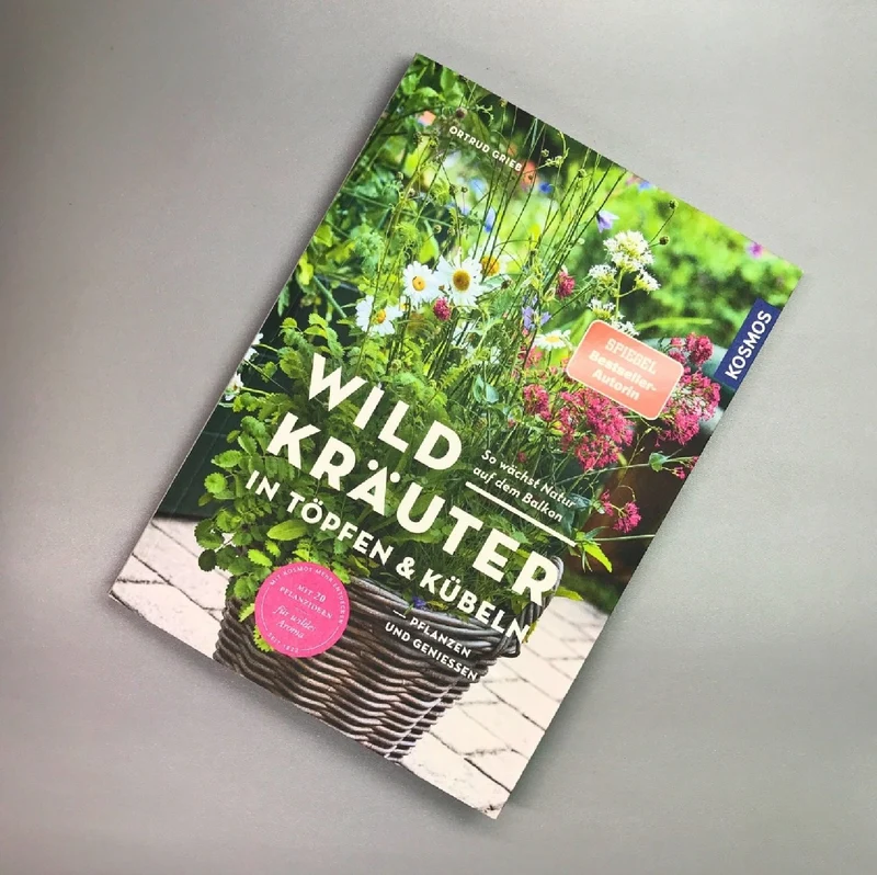 Wildkräuter in Töpfen und Kübeln (Ortrud Grieb)
