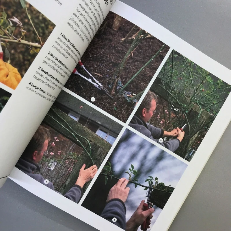 Richtig gut Gärtnern (RHS Royal Horticulture Society)
