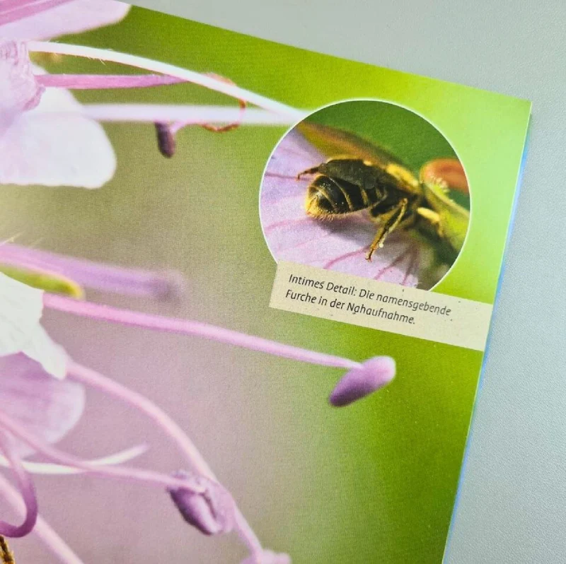 Mein Bienengarten, erweiterte Auflage (Elke Schwarzer)