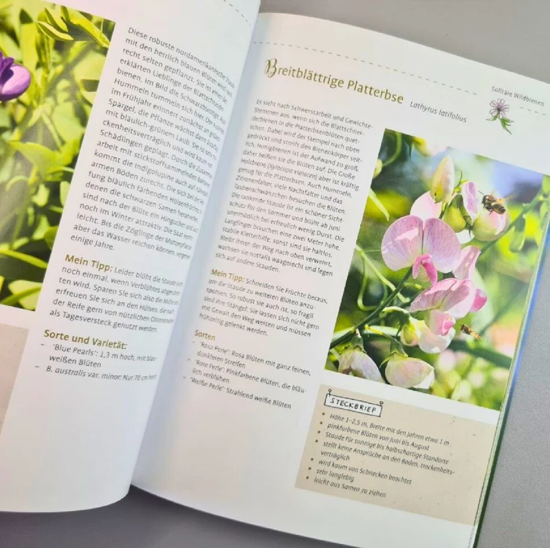 Mein Bienengarten, erweiterte Auflage (Elke Schwarzer)