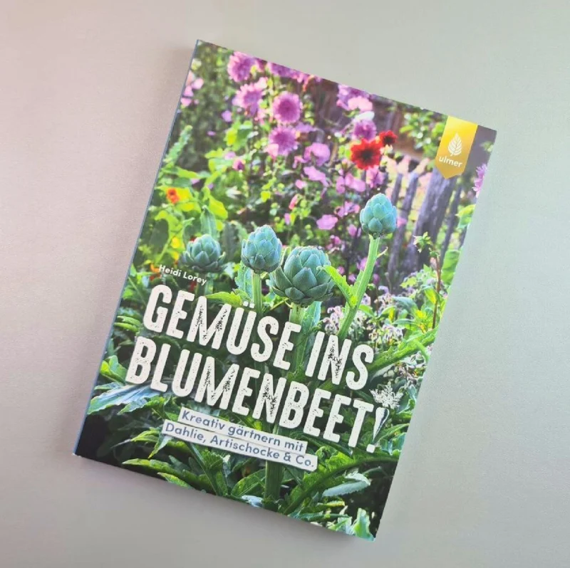 Gemüse ins Blumenbeet (Heidi Lorey)