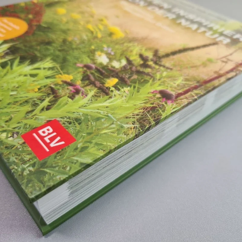 Gärten inspiriert von der Natur (Piet Oudolf & Henk Gerritsen)