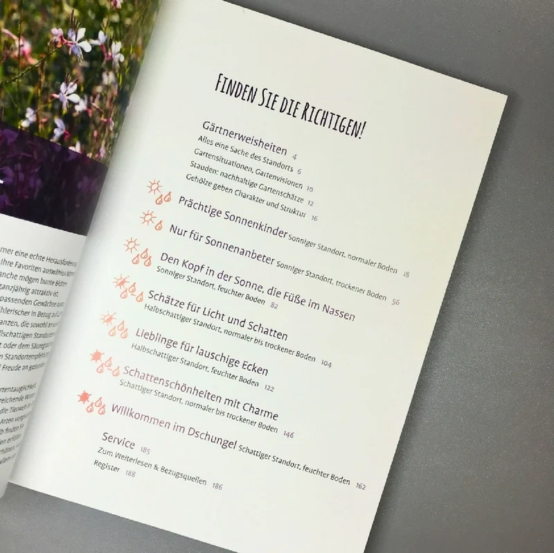 Die 150 Besten Pflanzen (für jede Gartenecken)