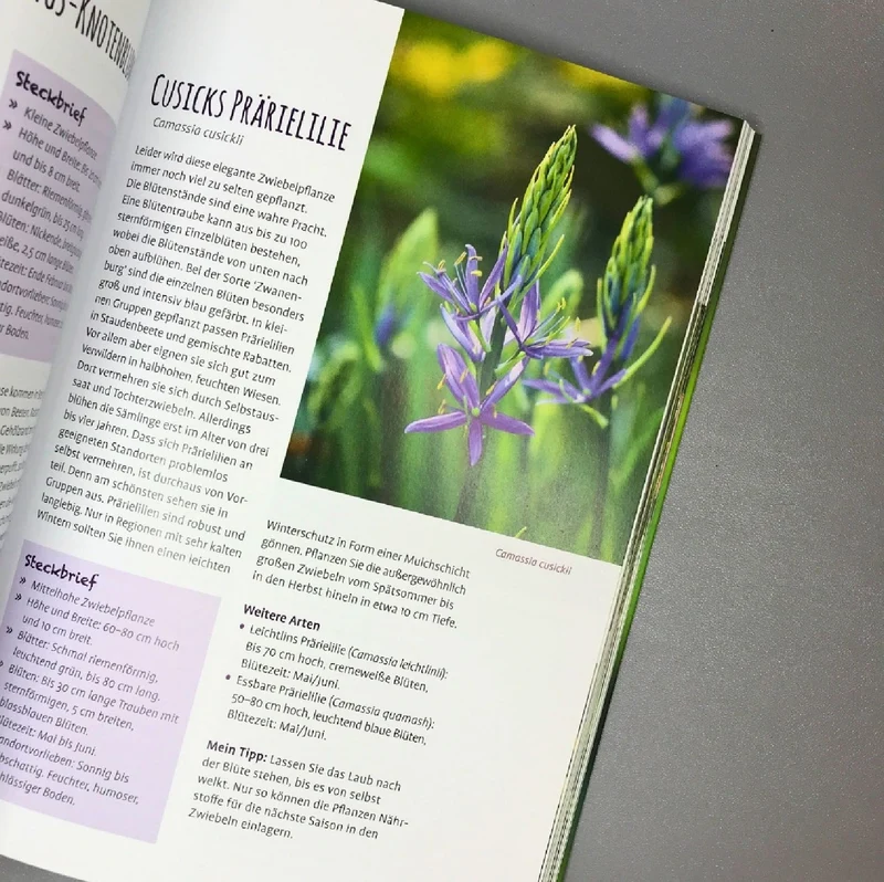 Die 150 Besten Pflanzen (für jede Gartenecken)