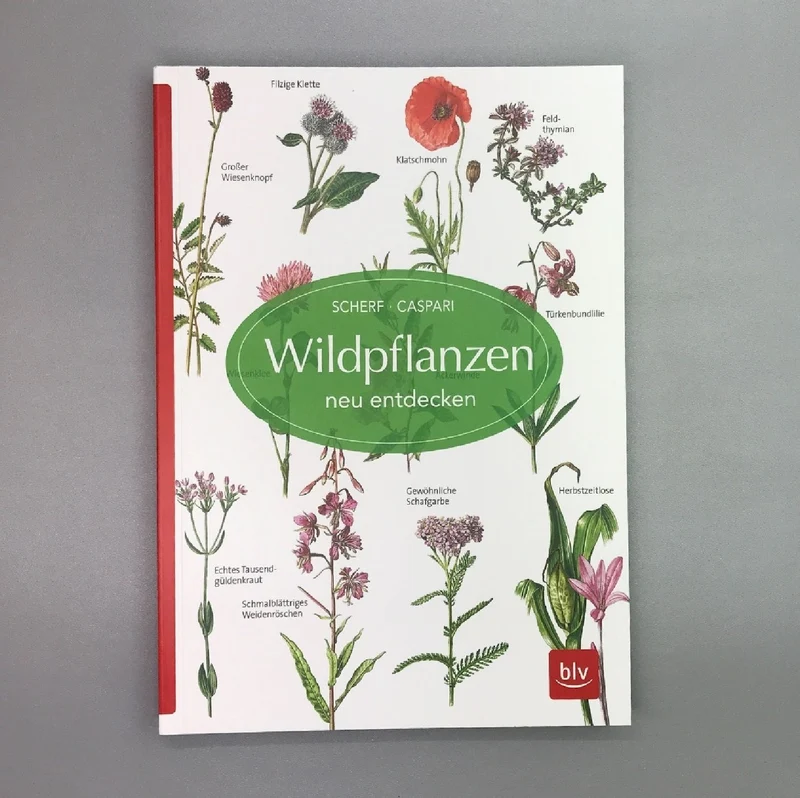 Wildpflanzen neu entdecken (Scherf & Caspari)
