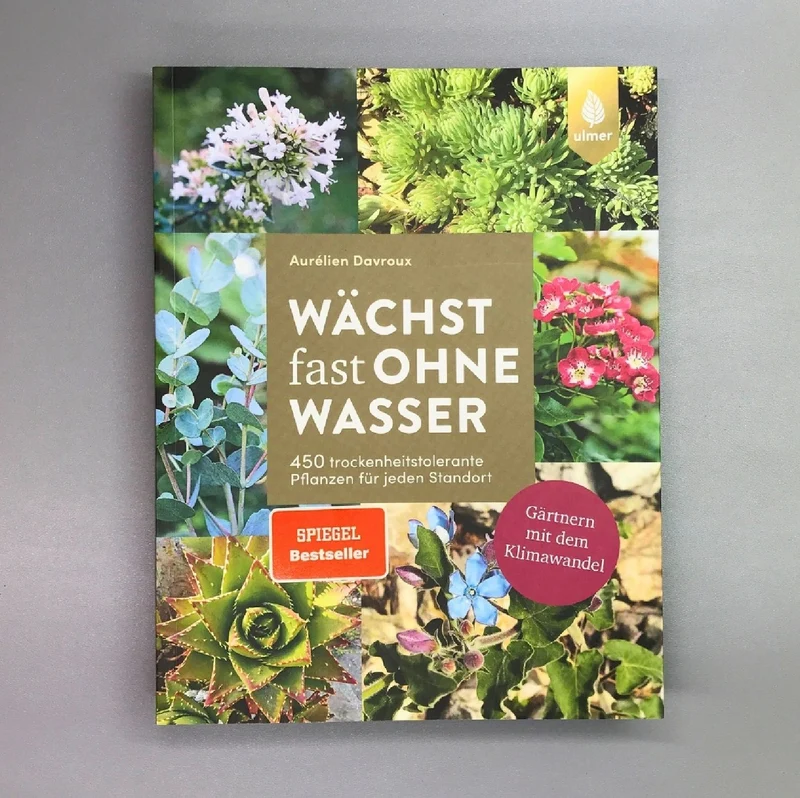 Wächst fast ohne Wasser (Aurélien Davroux)