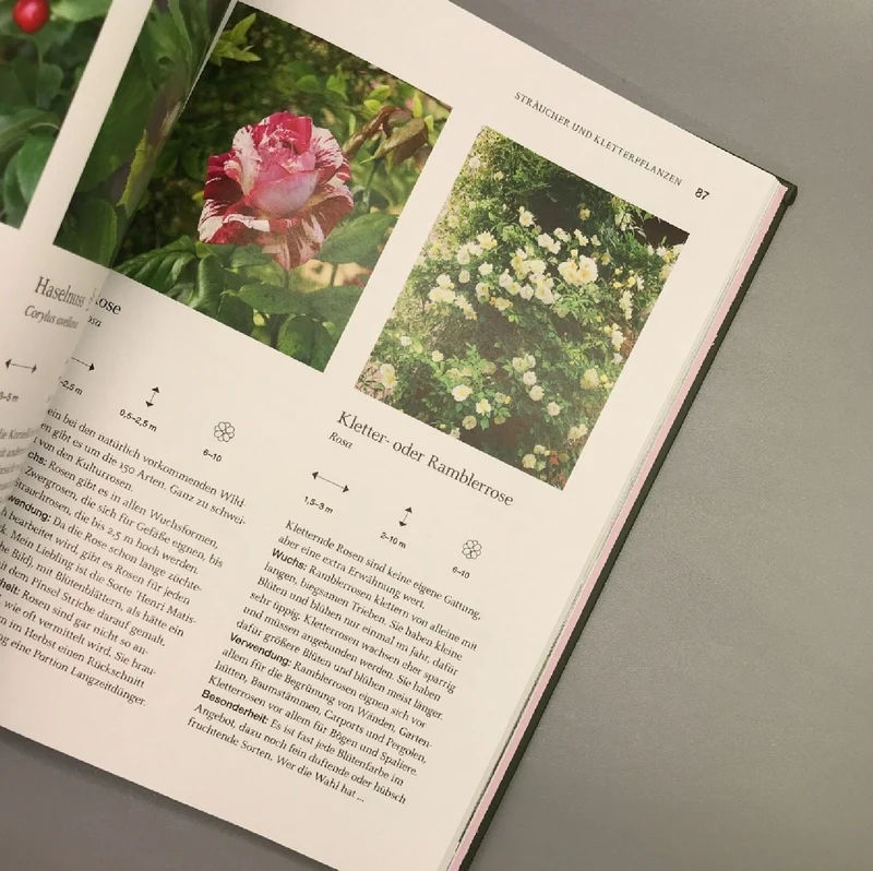 Robuste Schönheiten für den Garten (Ina Timm)