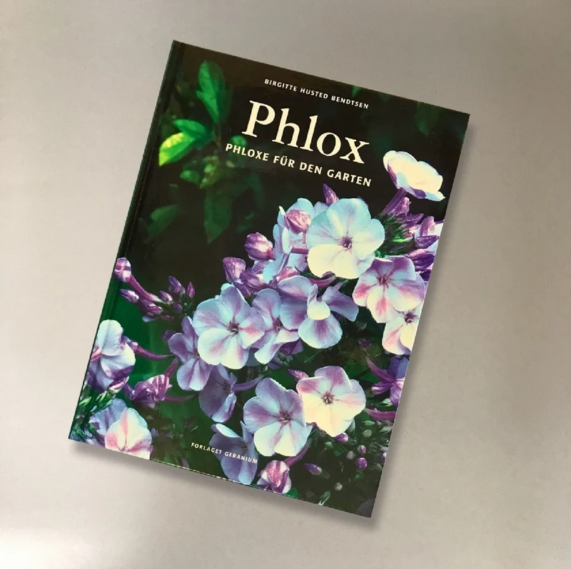 Phlox, Phloxe für den Garten (Birgitte Husted Bendtsen)