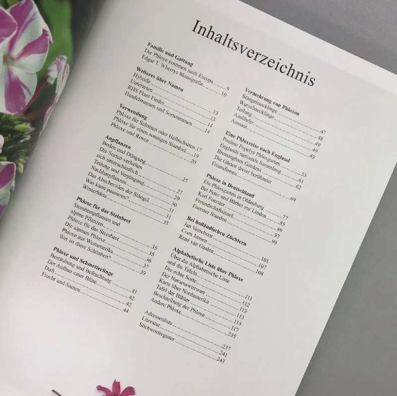 Phlox, Phloxe für den Garten (Birgitte Husted Bendtsen)