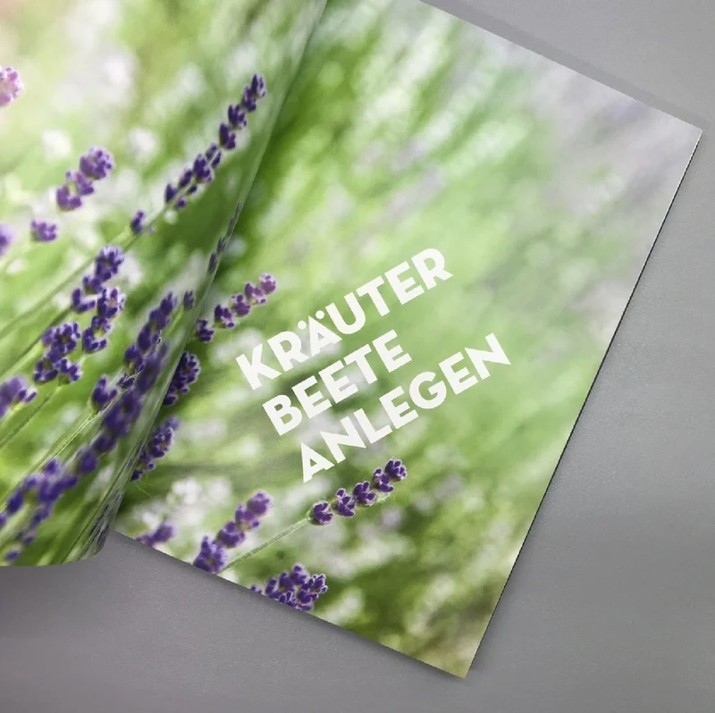 Kräuter - Es geht auch EINFACH! (Burkhard Bohne)