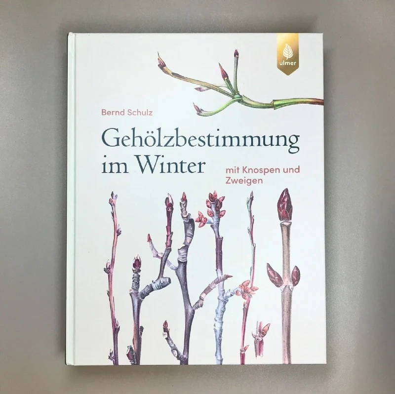 Gehölzbestimmung im Winter (Bernd Schulz)