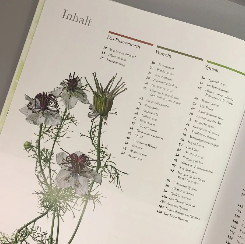 Flora (Wunderwelt der Pflanzen)