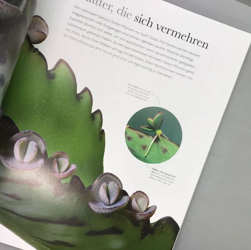 Flora (Wunderwelt der Pflanzen)
