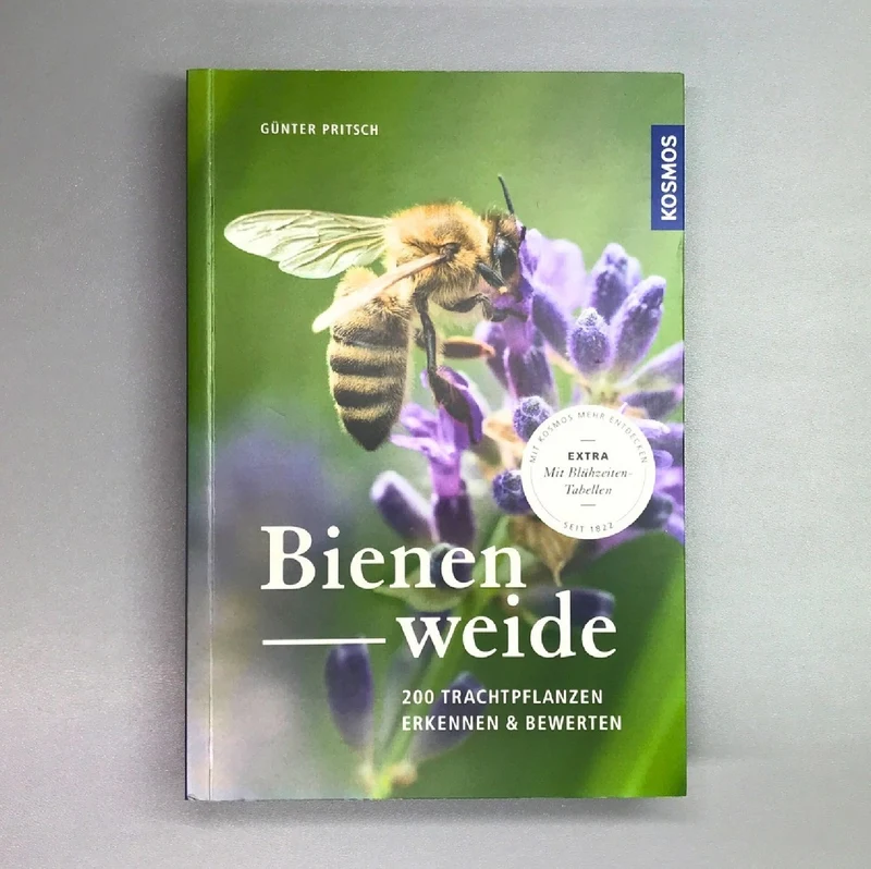 Bienenweide (Günter Pritsch)
