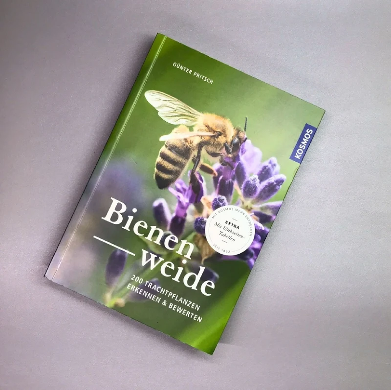 Bienenweide (Günter Pritsch)