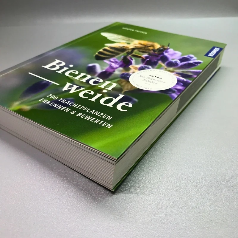 Bienenweide (Günter Pritsch)
