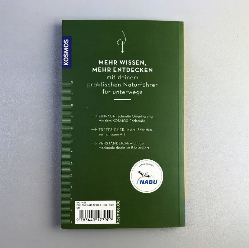 Basic Bäume (Katrin Hecker)