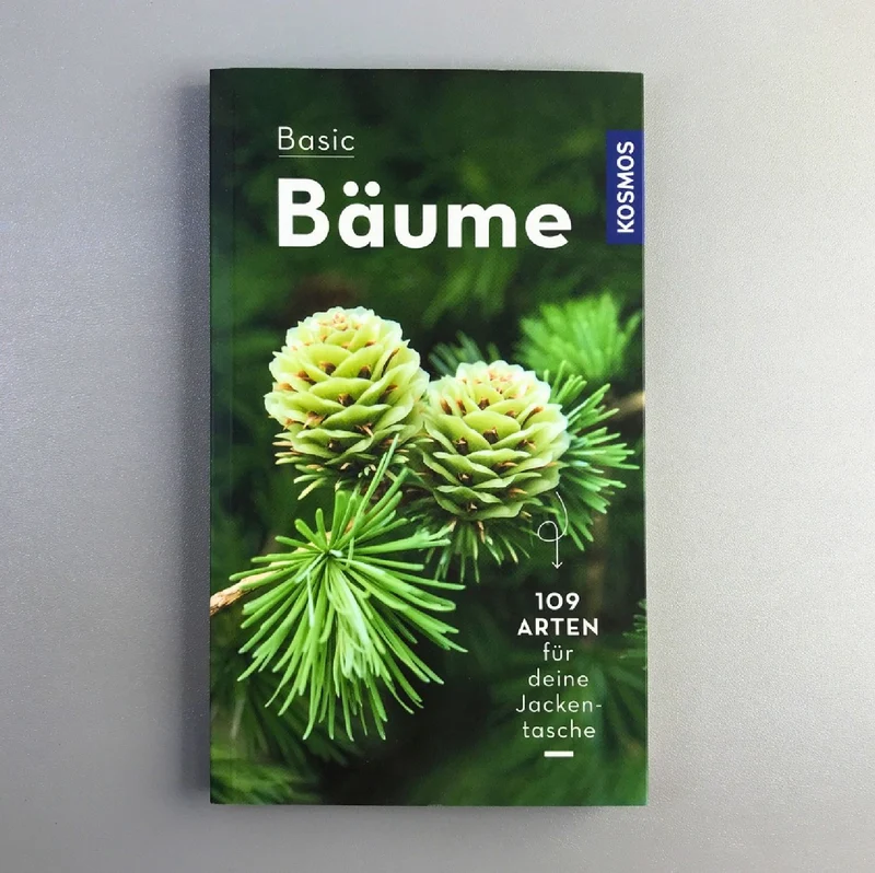 Basic Bäume (Katrin Hecker)