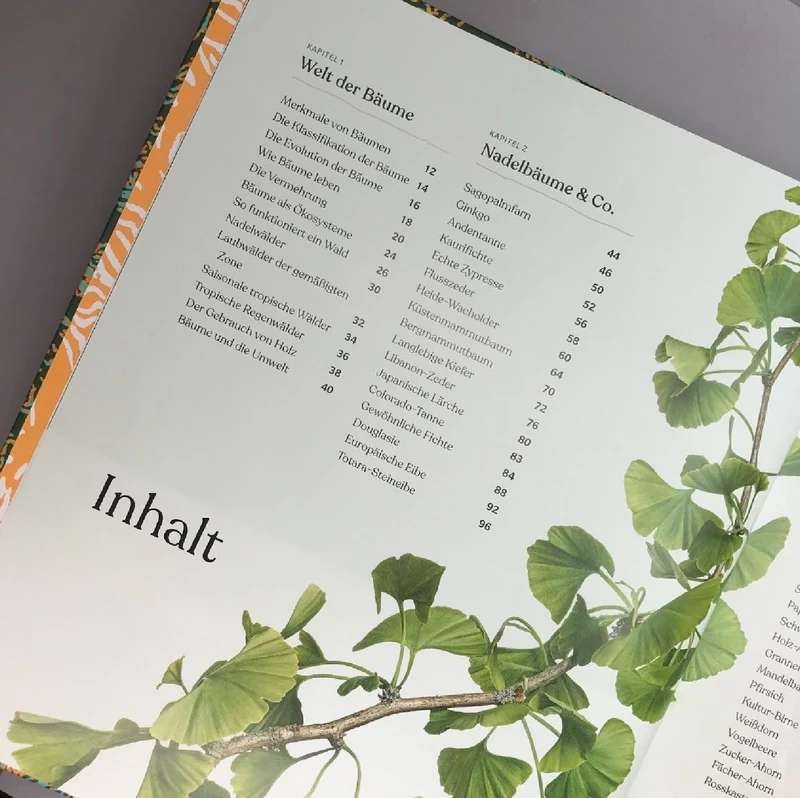 Alles über Bäume (Eine Natur- und Kulturgeschichte)